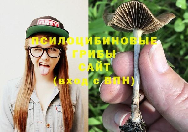 бошки Краснотурьинск