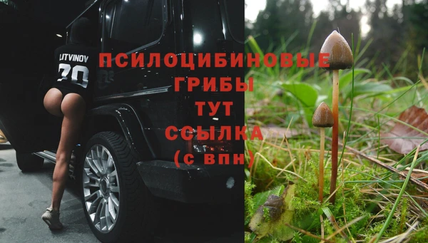 PSILOCYBIN Краснослободск