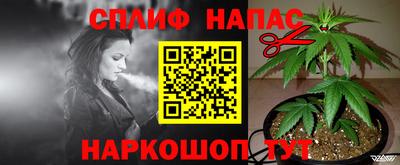 spice Кандалакша