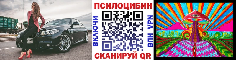 omg как войти  где купить   Михайловка  Псилоцибиновые грибы ЛСД 