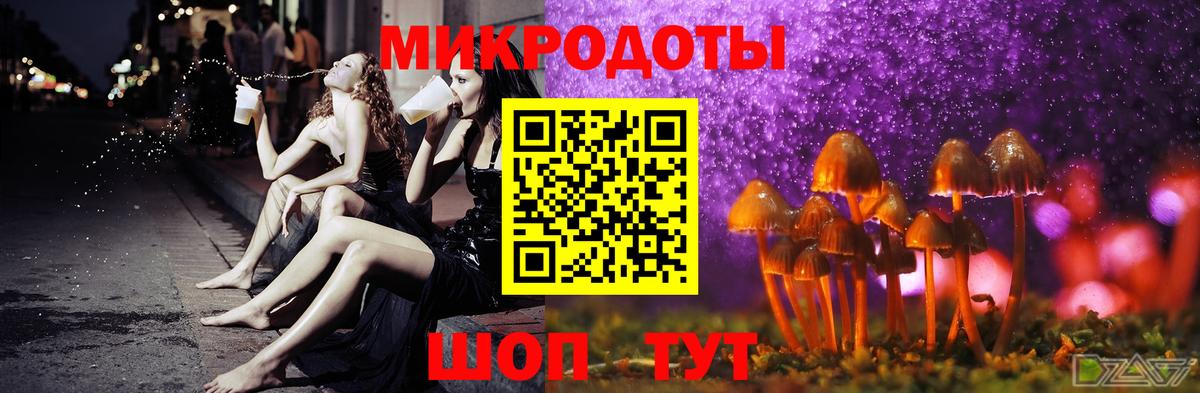 что такое   Вход с VPN  Михайловка  Галлюциногенные грибы GOLDEN TEACHER  Псилоцибиновые грибы мухоморы 